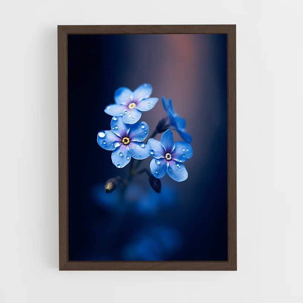 ap-forget-me-not-2 cadre Bois foncé