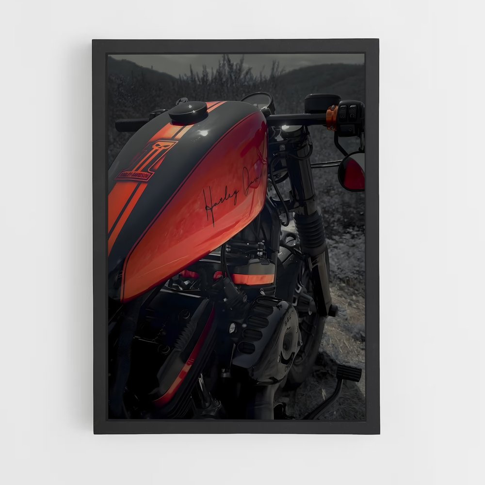 ap-forty-eight-5 cadre Noir