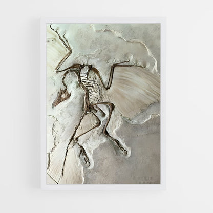 ap-fossils-2 cadre Blanc