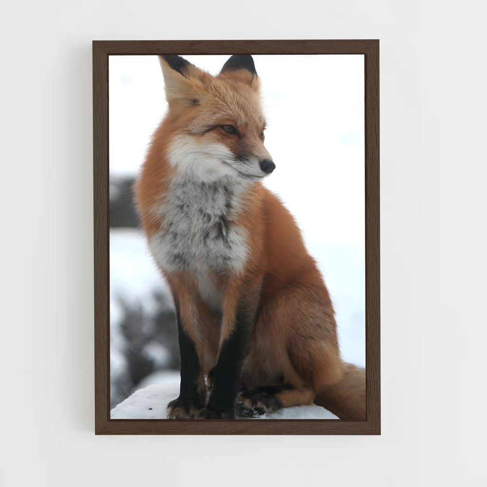 ap-fox-3 cadre Bois foncé