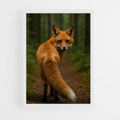 ap-fox-6 cadre Blanc