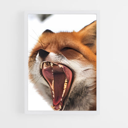 ap-fox-7 cadre Blanc