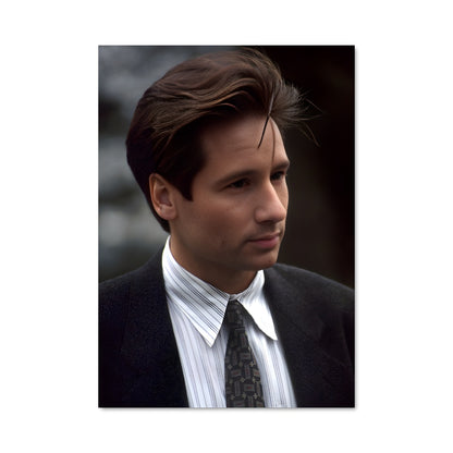 Poster Le Mystère de Mulder