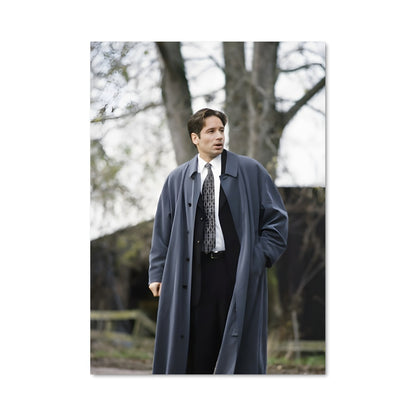 Poster Le Mystère Mulder