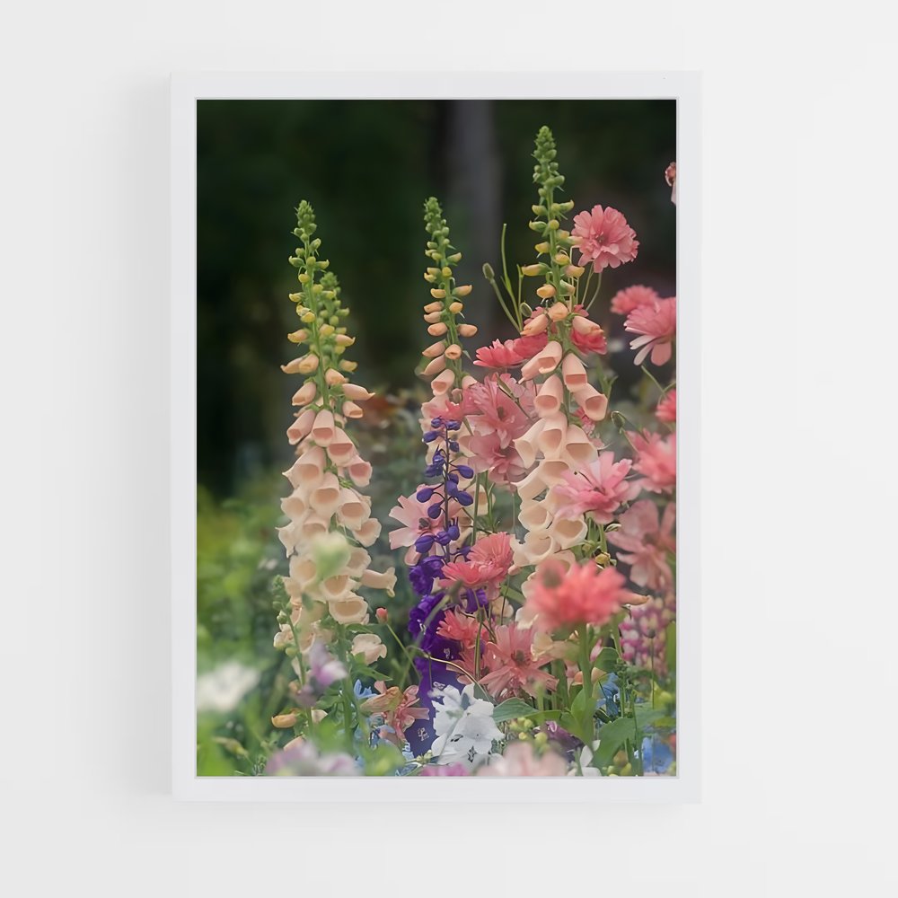 ap-foxglove-1 cadre Blanc