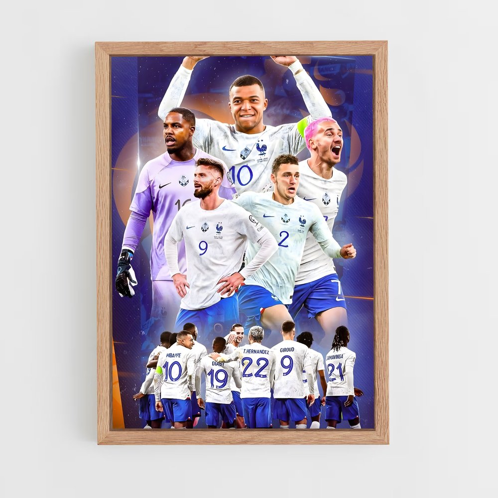 ap-france national football team-6 cadre Bois clair