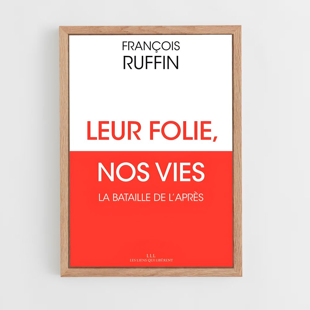 ap-francois ruffin-1 cadre Bois clair