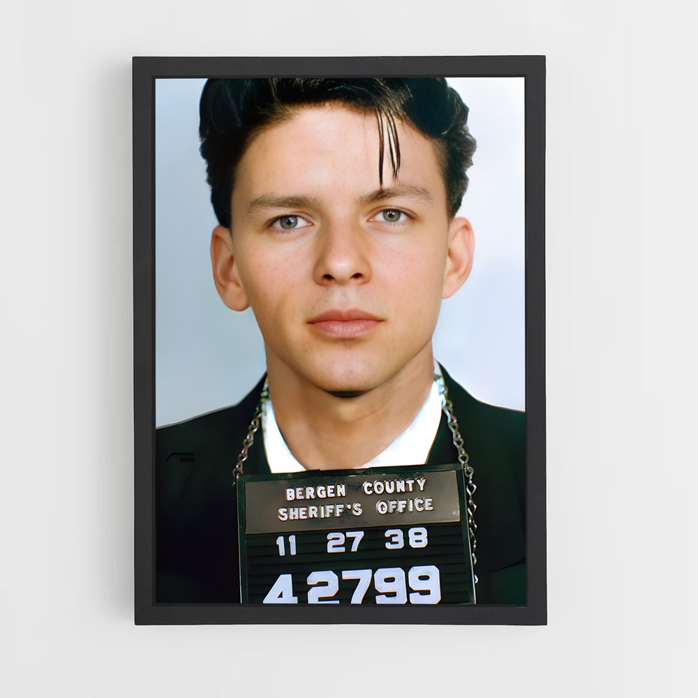 ap-frank sinatra-1 cadre Noir