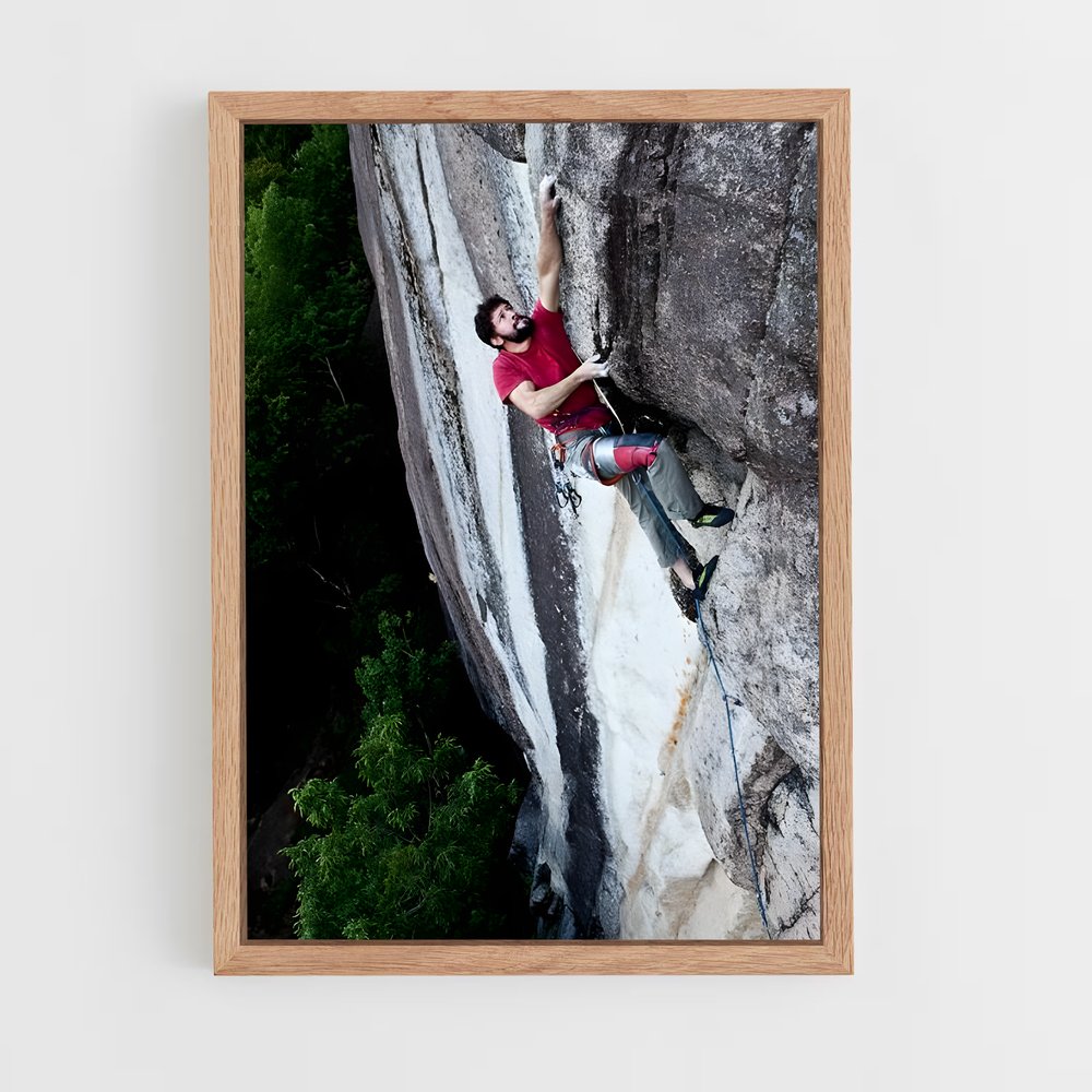 ap-freerider el capitan-4 cadre Bois clair