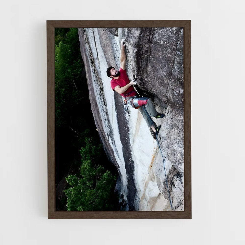 ap-freerider el capitan-4 cadre Bois foncé