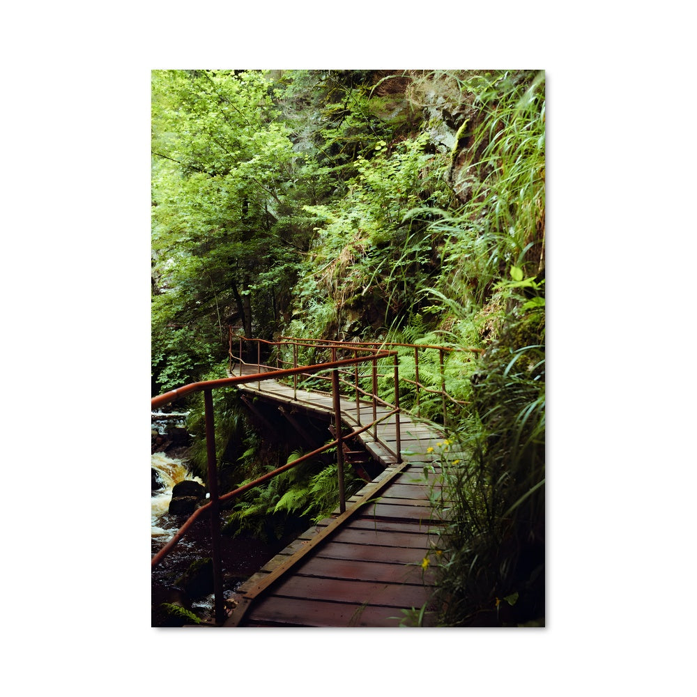 Poster Freiburg 90560