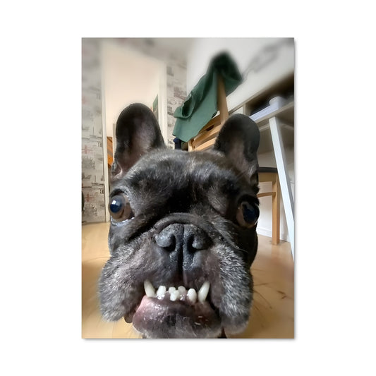 Poster Chien Heureux