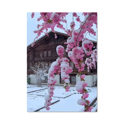 Poster Neige Rose