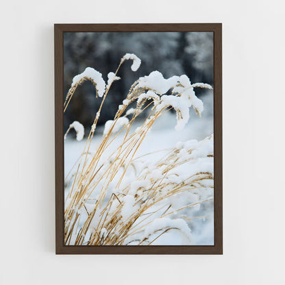 ap-fresh snow-3 cadre Bois foncé