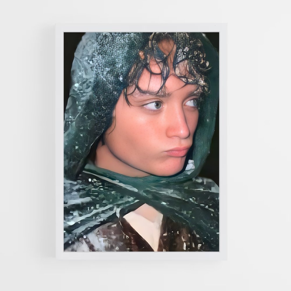 ap-frodo baggins-1 cadre Blanc