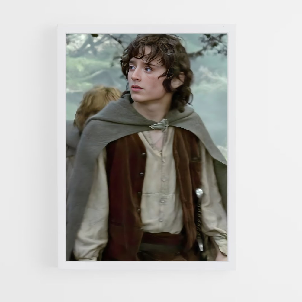 ap-frodo baggins-4 cadre Blanc