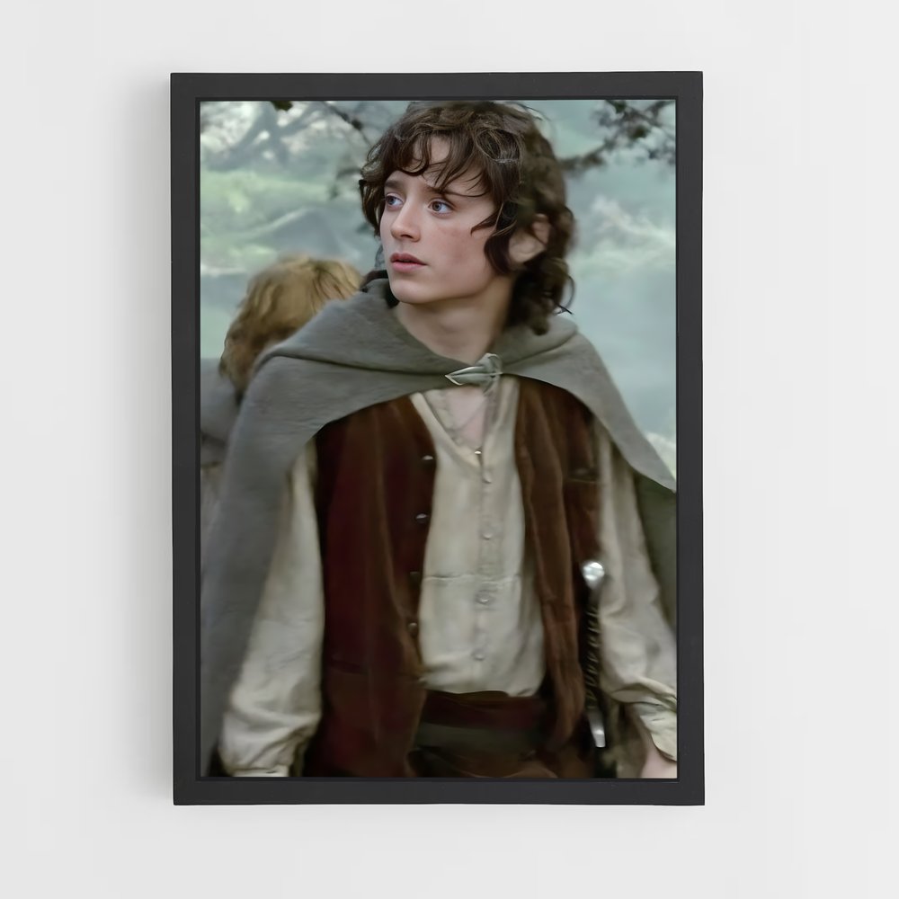 ap-frodo baggins-4 cadre Noir