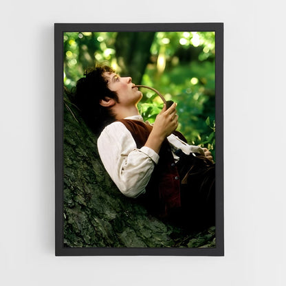 ap-frodo baggins-6 cadre Noir