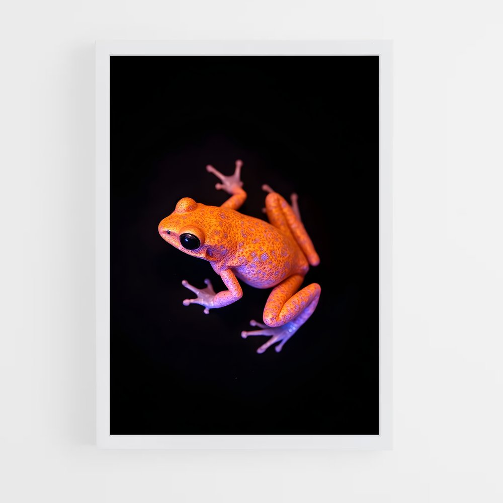 ap-frog-2 cadre Blanc
