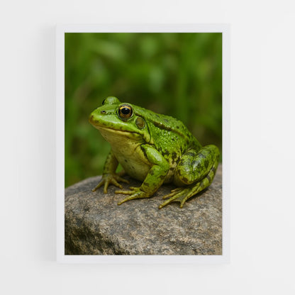 ap-frog-4 cadre Blanc