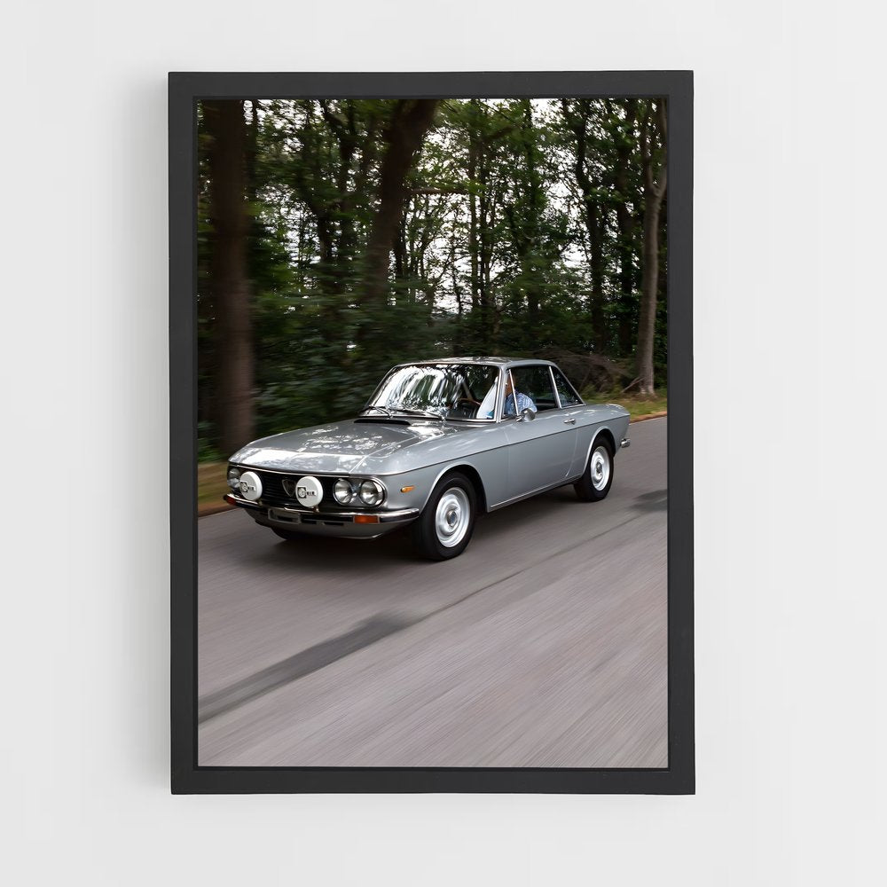 ap-fulvia coupe-1 cadre Noir