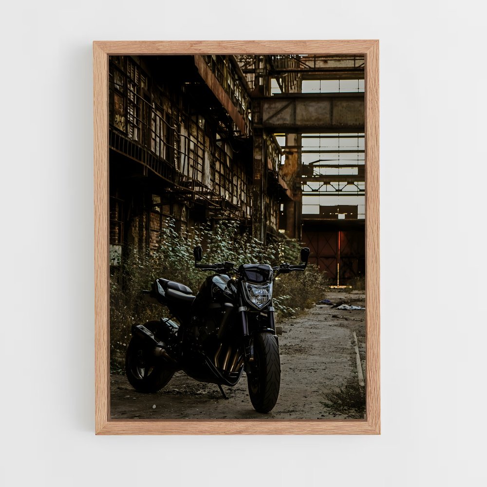 ap-fz1-2 cadre Bois clair