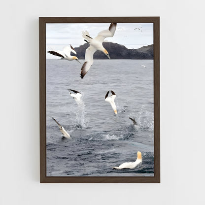 ap-gannet-1 cadre Bois foncé