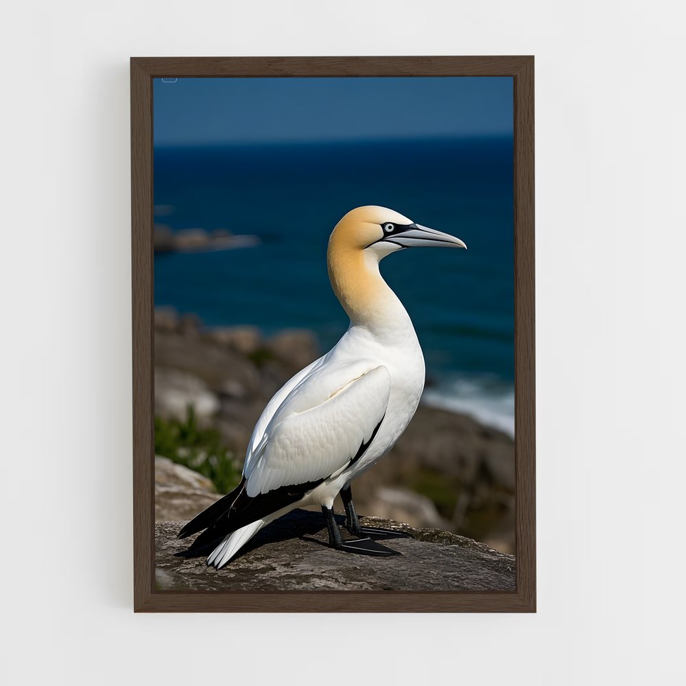 ap-gannet-2 cadre Bois foncé