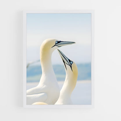 ap-gannet-6 cadre Blanc