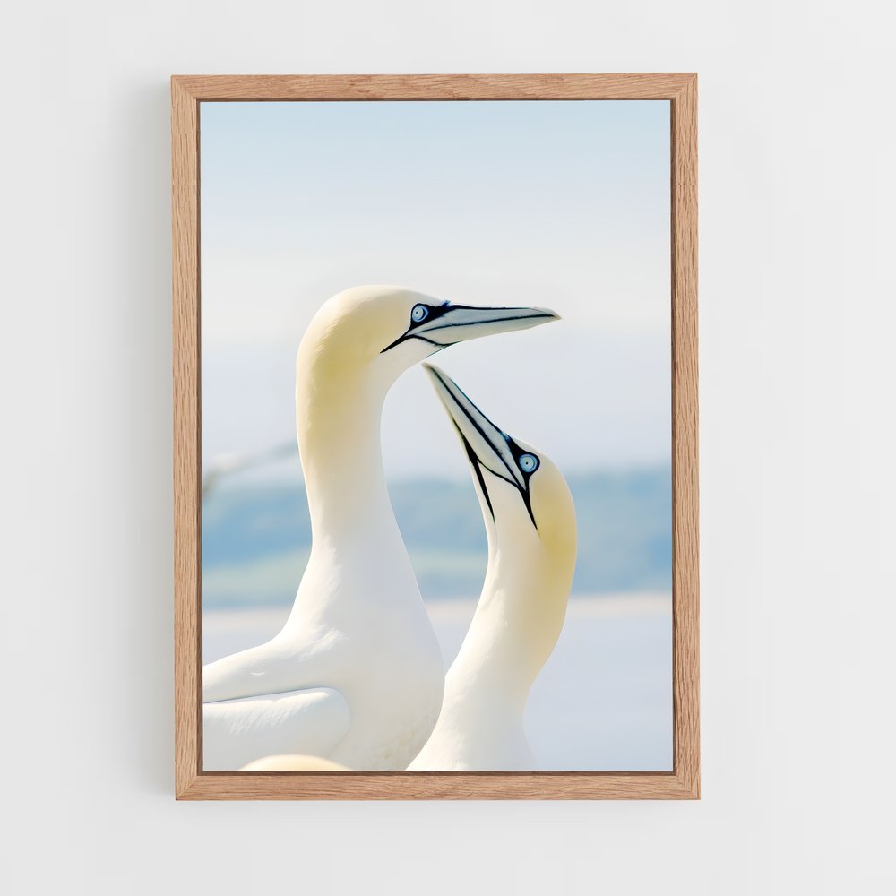 ap-gannet-6 cadre Bois clair