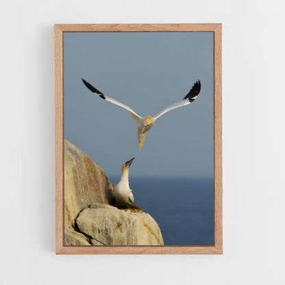 ap-gannet-7 cadre Bois clair