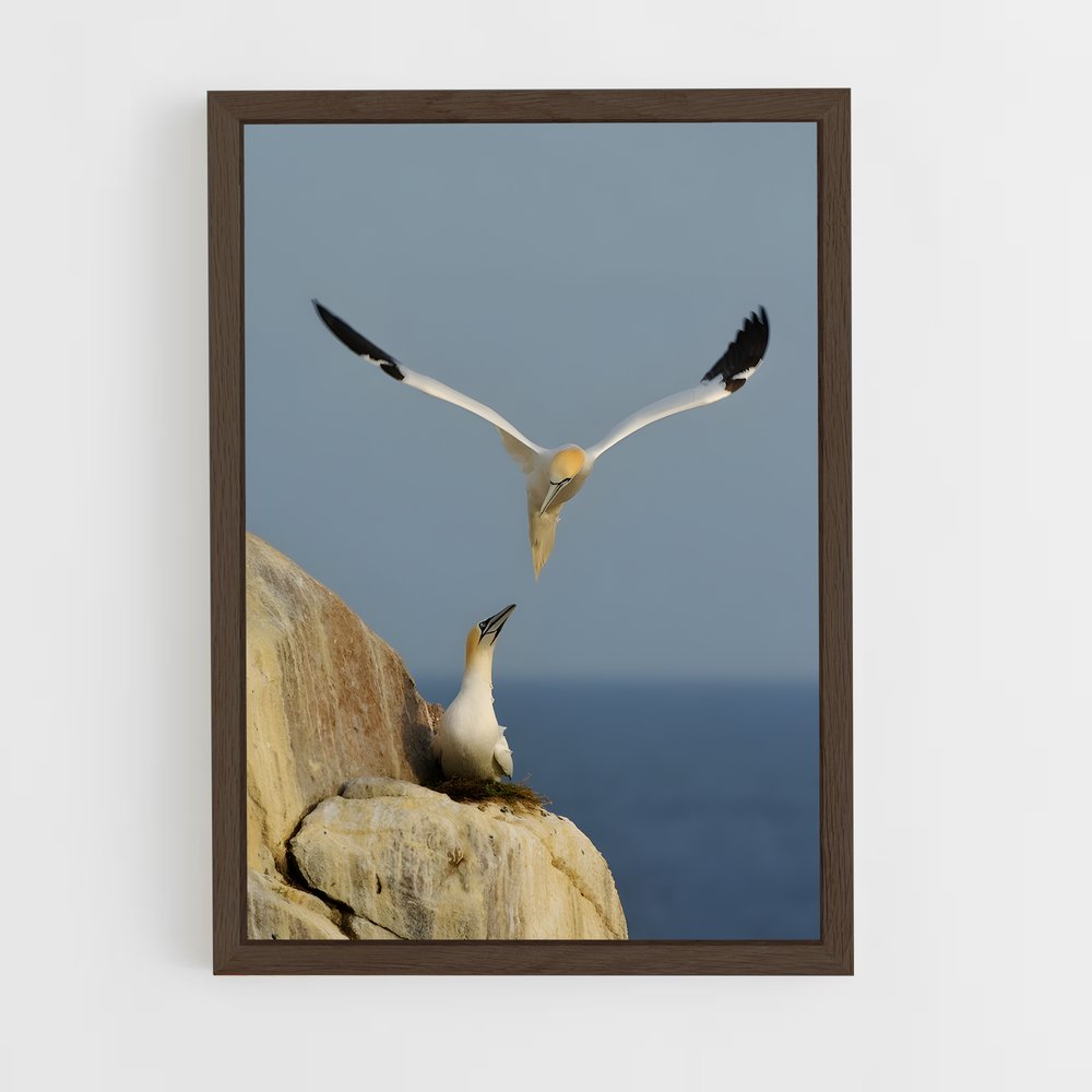 ap-gannet-7 cadre Bois foncé