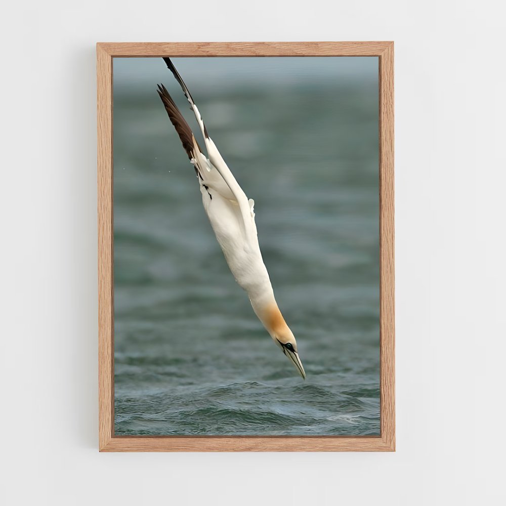 ap-gannet-8 cadre Bois clair