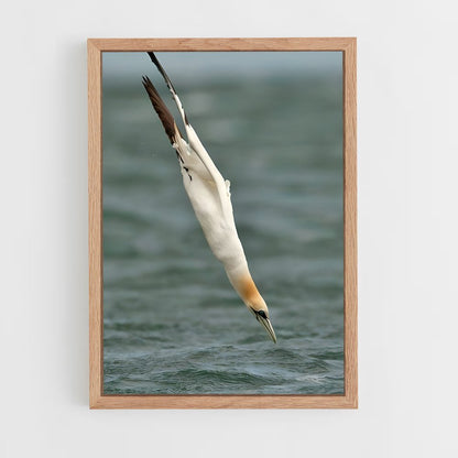 ap-gannet-8 cadre Bois clair