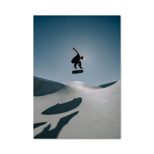 Poster Skateur Émérite