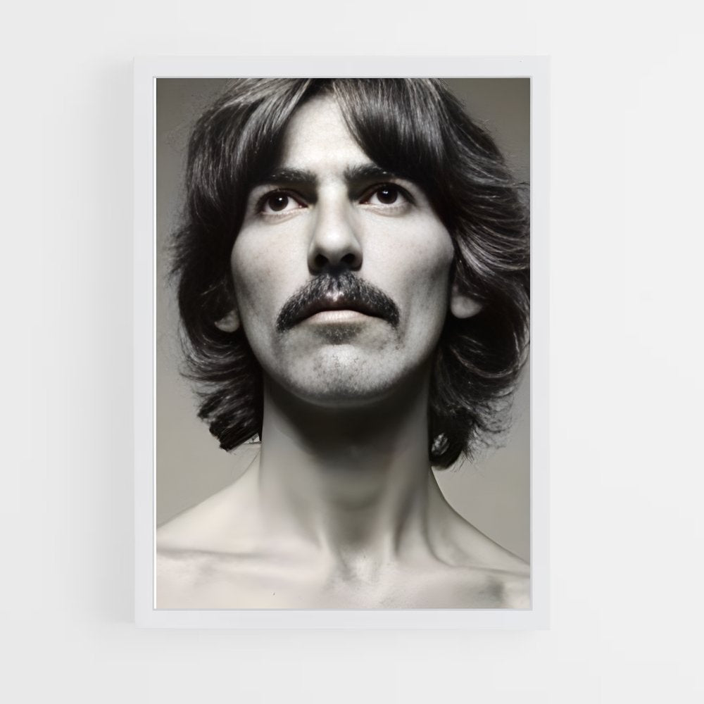 ap-george harrison-3 cadre Blanc