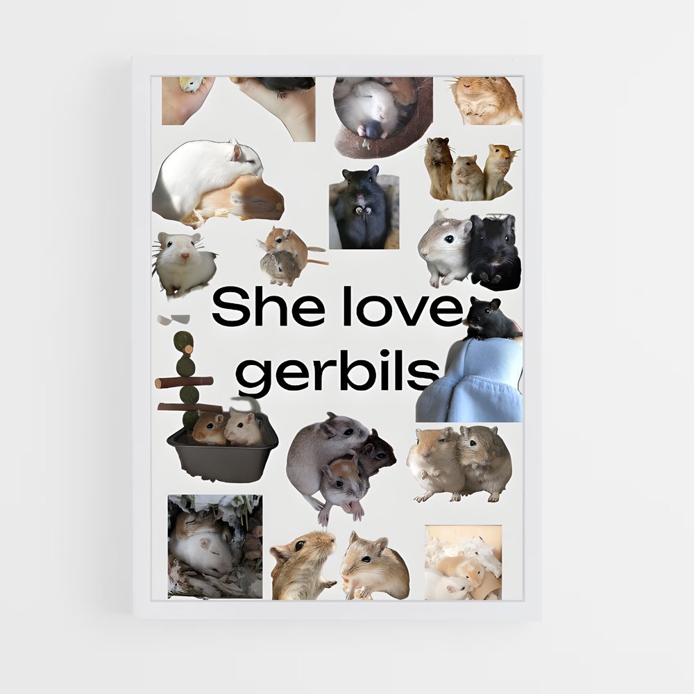 ap-gerbil-1 cadre Blanc