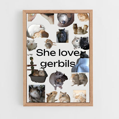 ap-gerbil-1 cadre Bois clair
