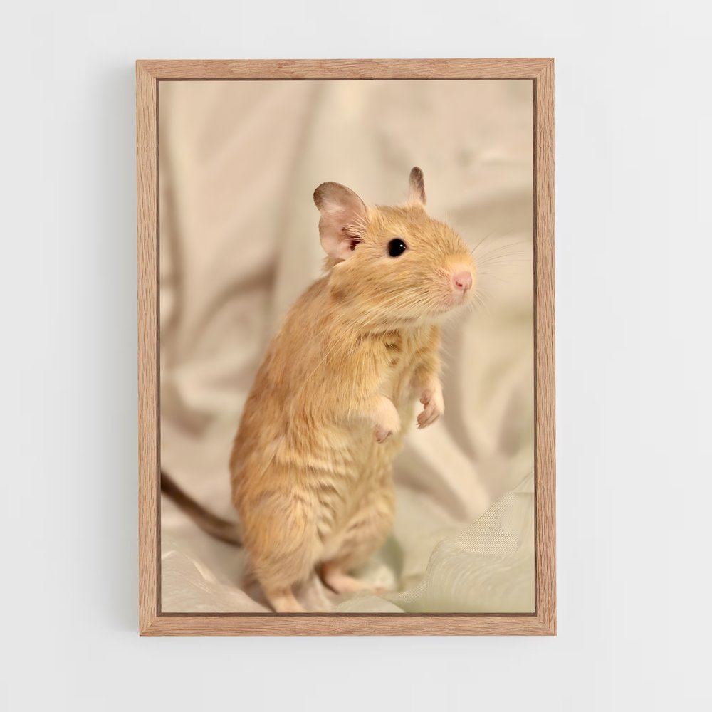 ap-gerbil-2 cadre Bois clair