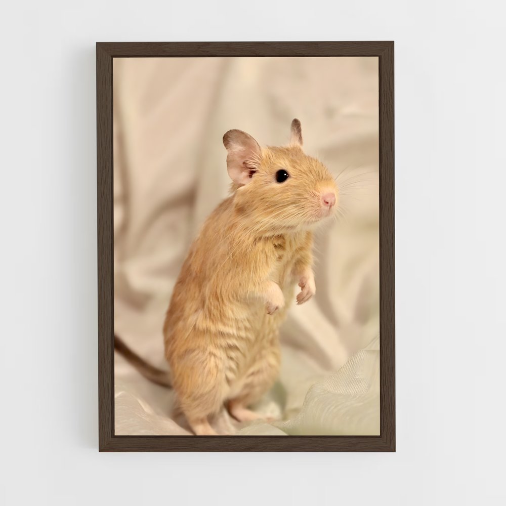 ap-gerbil-2 cadre Bois foncé