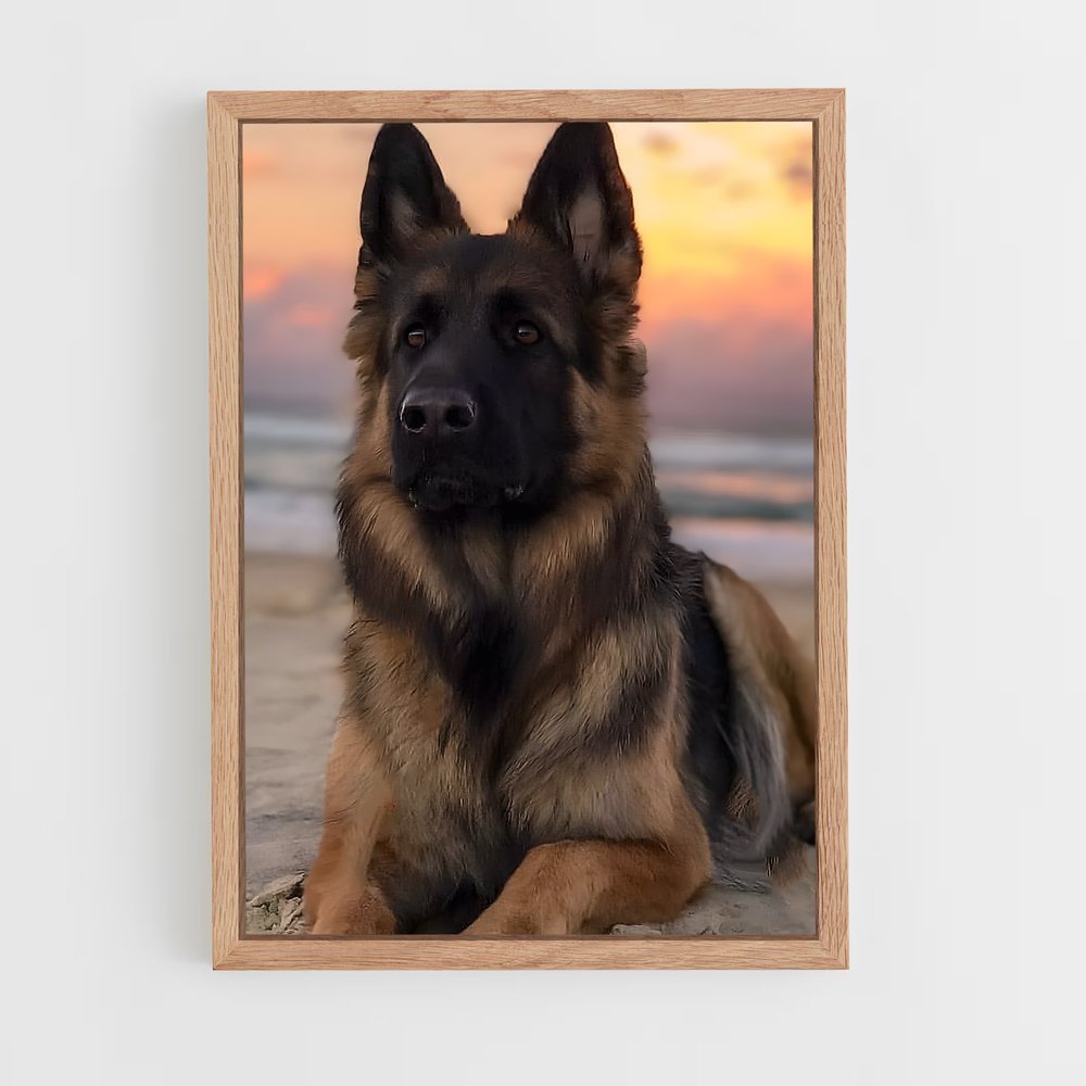 ap-german shepherd-2 cadre Bois clair