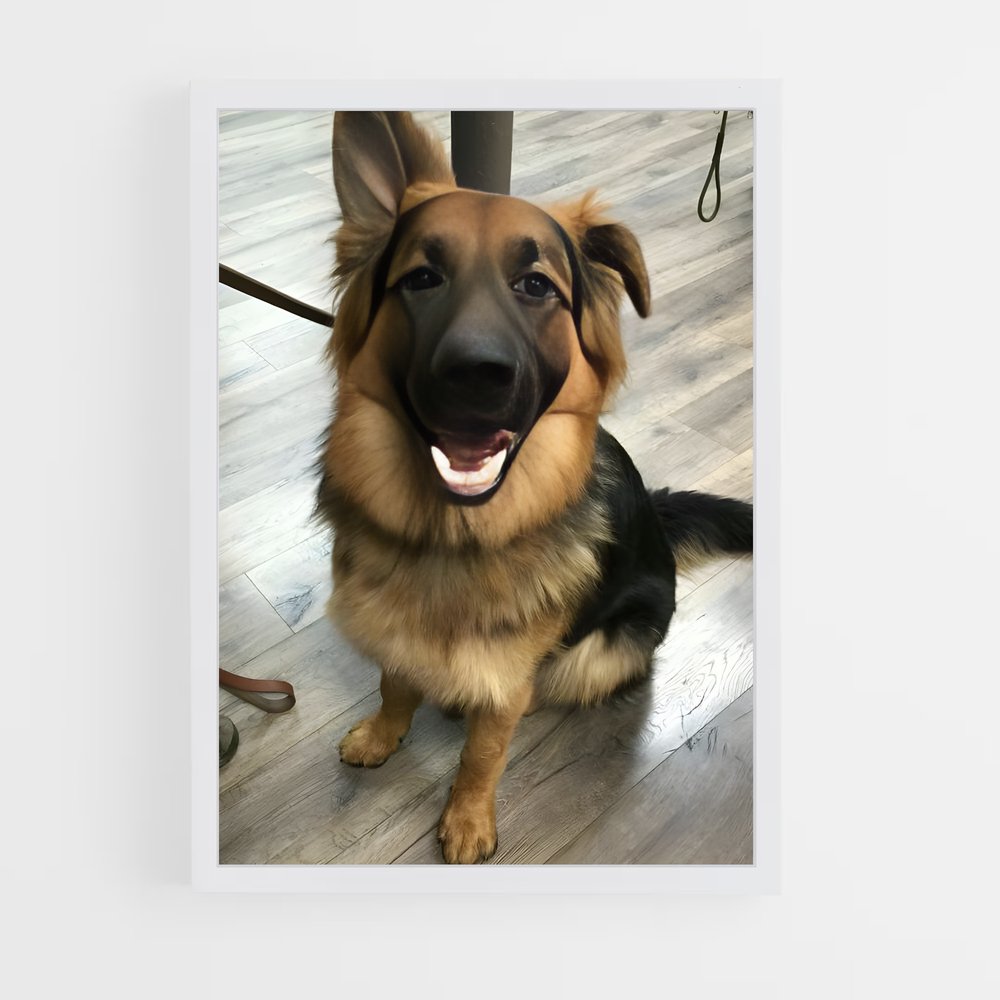 ap-german shepherd-3 cadre Blanc