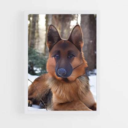 ap-german shepherd-5 cadre Blanc
