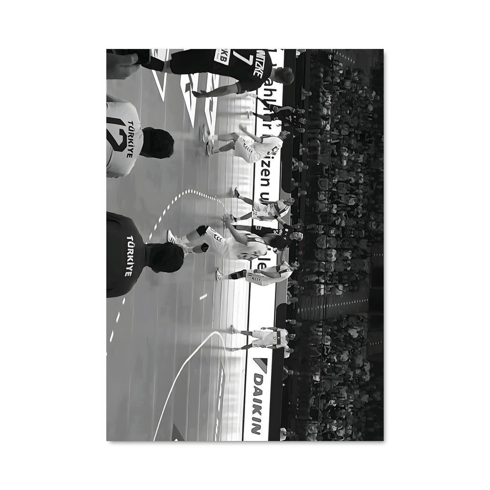Poster Germany national handball team 73860