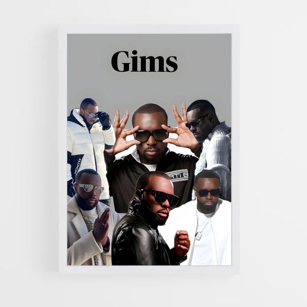 ap-gims-1 cadre Blanc