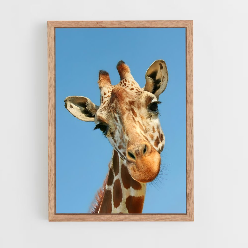 ap-giraffe-1 cadre Bois clair