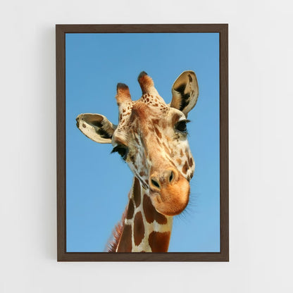 ap-giraffe-1 cadre Bois foncé