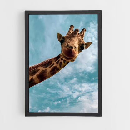 ap-giraffe-10 cadre Noir
