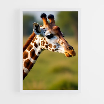 ap-giraffe-3 cadre Blanc