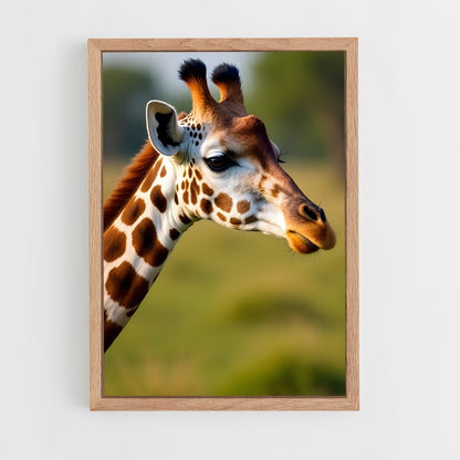 ap-giraffe-3 cadre Bois clair